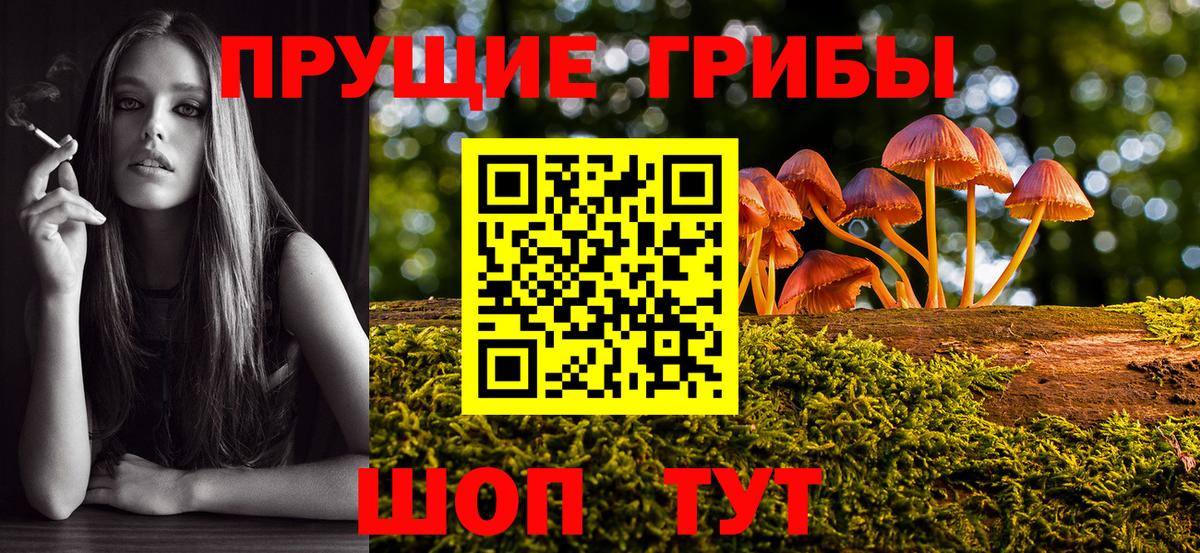 Галлюциногенные грибы GOLDEN TEACHER  наркошоп  Заринск  Вход с VPN 